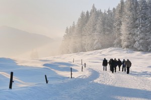 Winter Walking Tips Winter-Walking